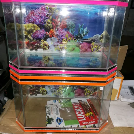Detail Lis Kaca Aquarium Nomer 29