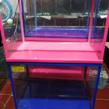 Detail Lis Kaca Aquarium Nomer 33