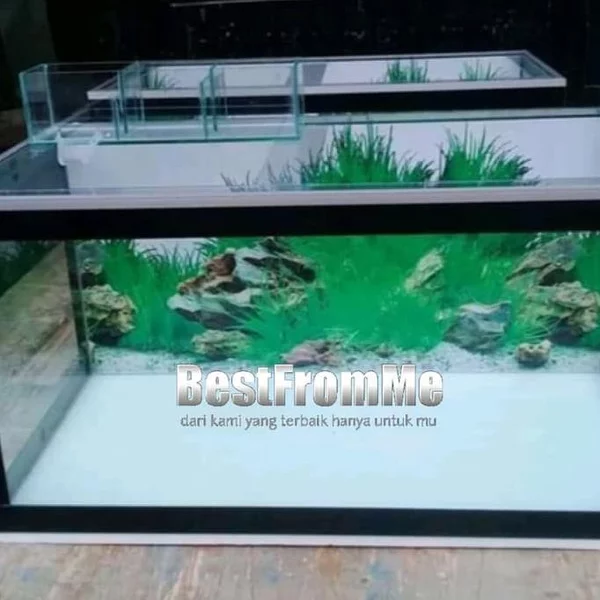 Detail Lis Kaca Aquarium Nomer 8