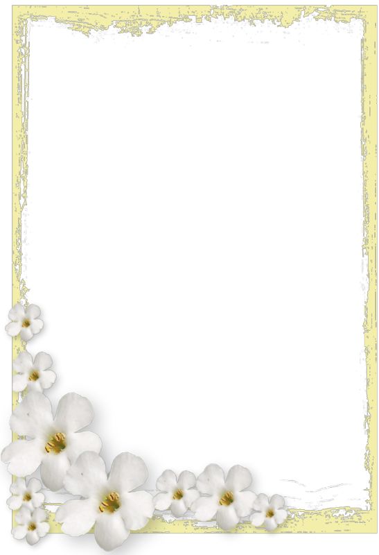 Detail List Frame Png Nomer 12