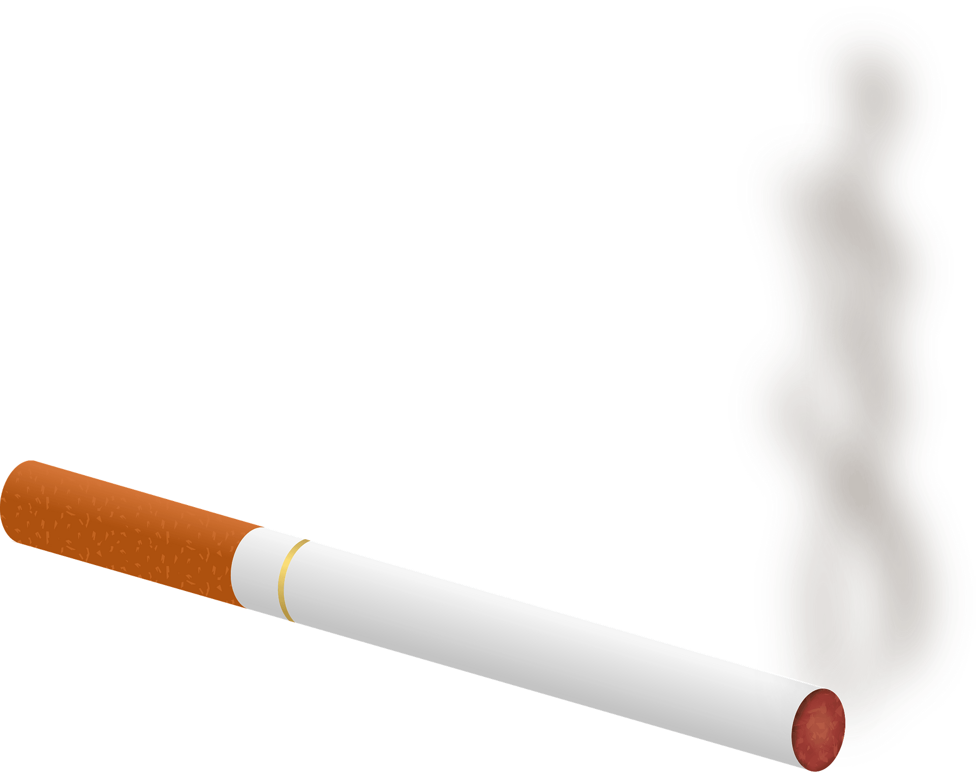 Detail Lit Cigarette Png Nomer 32