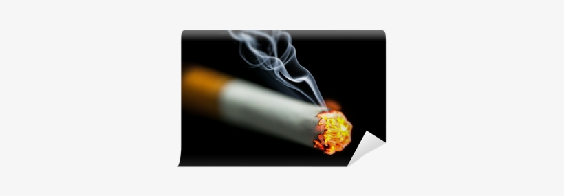 Detail Lit Cigarette Png Nomer 41