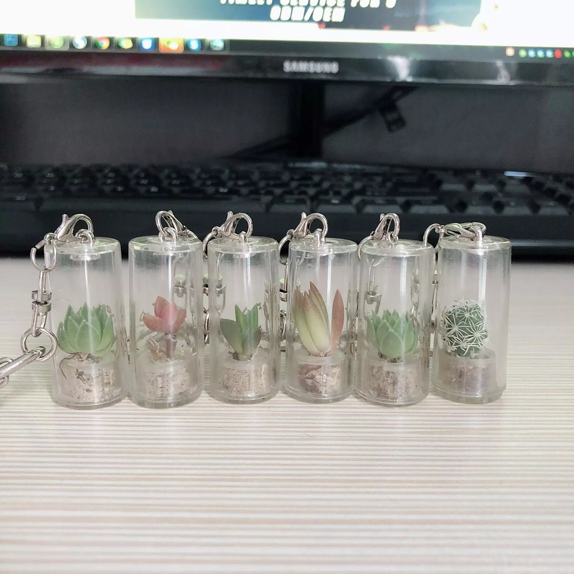 Detail Live Cactus Keychain Nomer 44