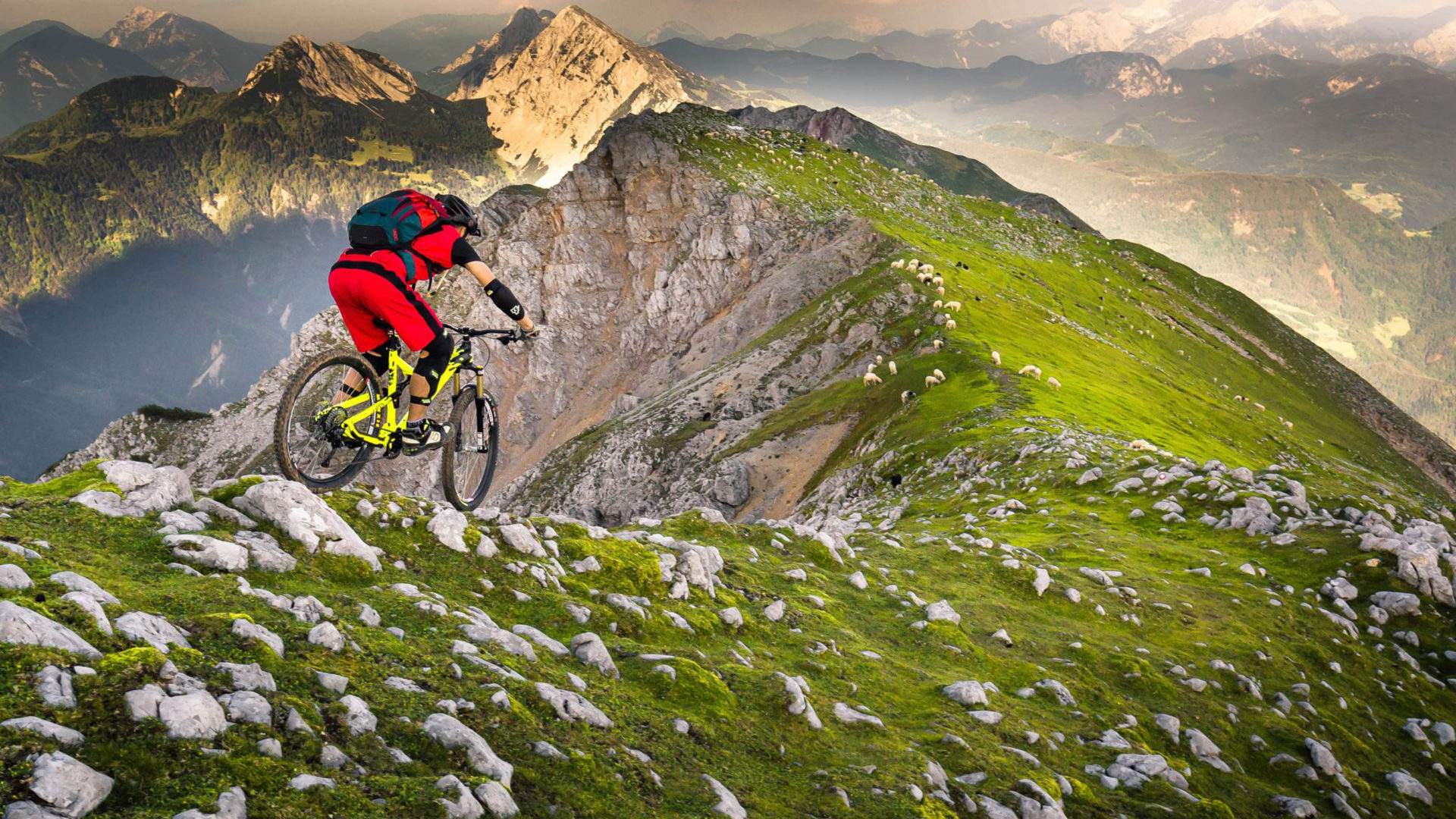 Detail Mountain Bike Wallpaper Nomer 39