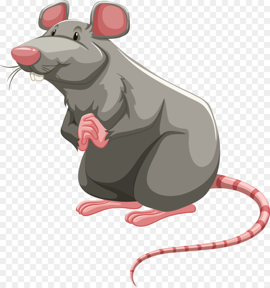 Detail Mouse Cartoon Png Nomer 45