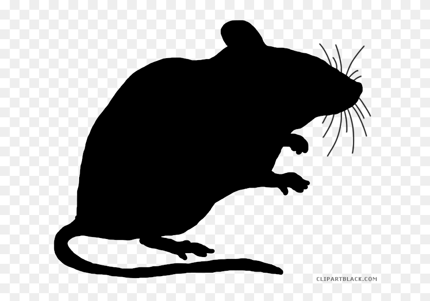 Detail Mouse Clipart Black And White Nomer 26