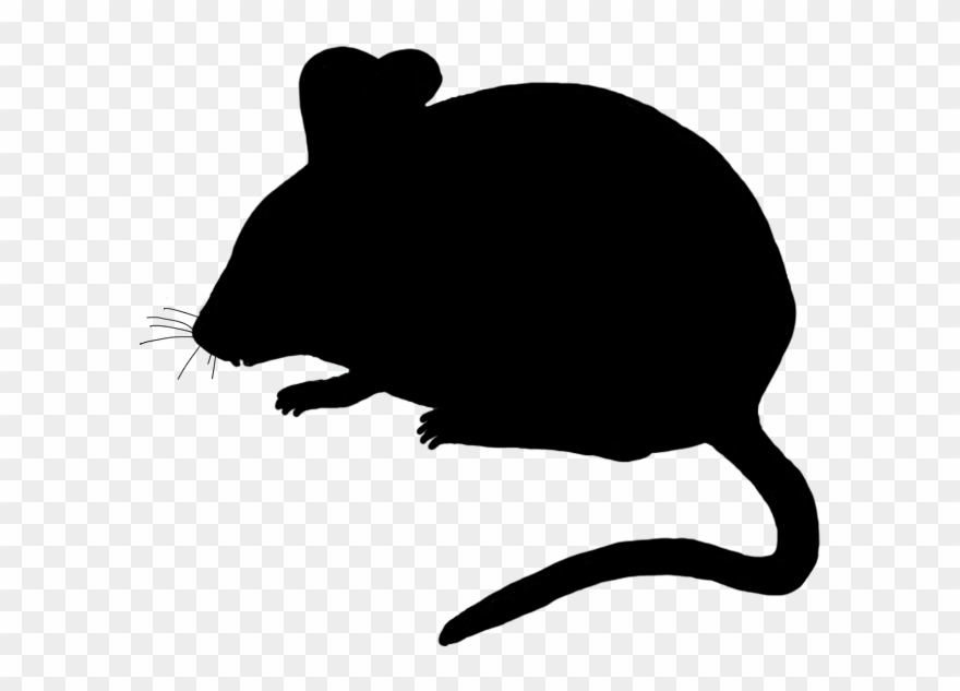 Detail Mouse Clipart Transparent Nomer 32