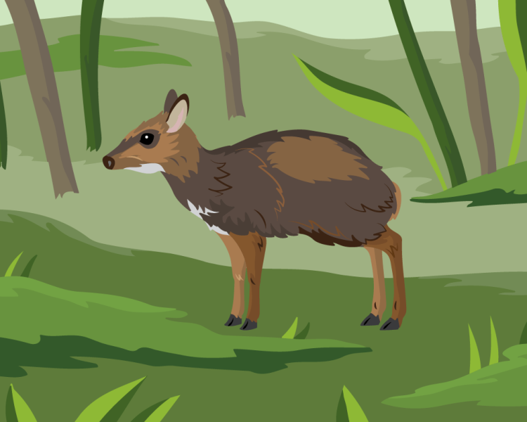 Detail Mouse Deer Clipart Nomer 24