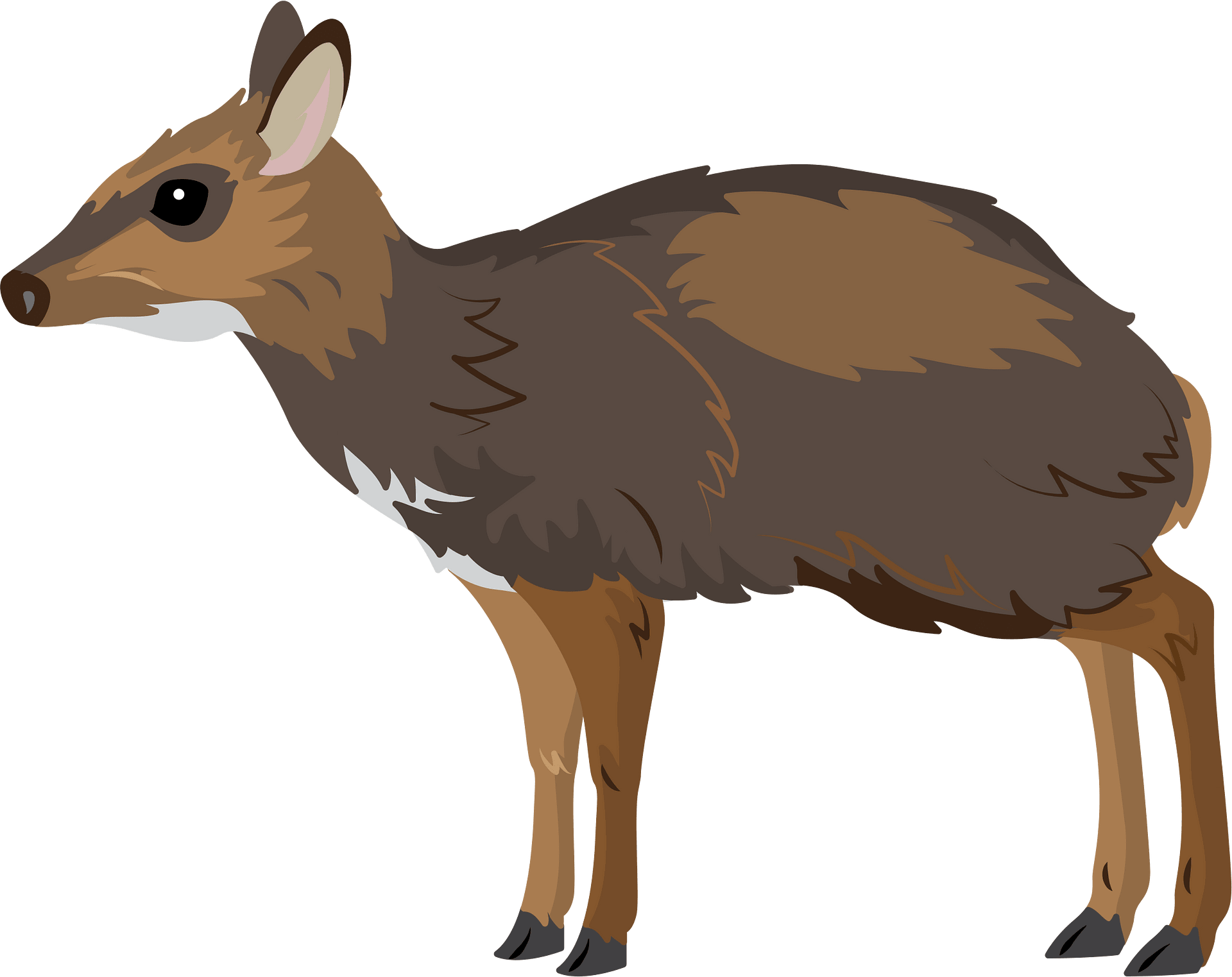 Detail Mouse Deer Clipart Nomer 5