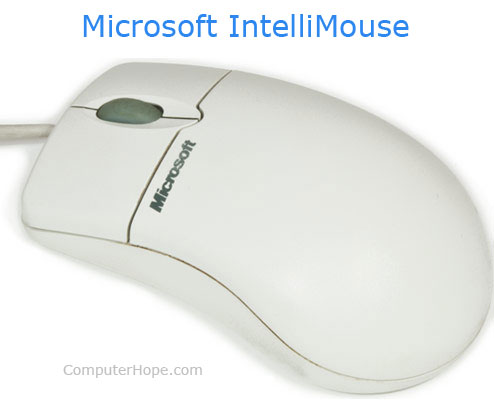 Detail Mouse Image Nomer 49