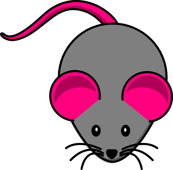 Detail Mouse Images Free Nomer 12