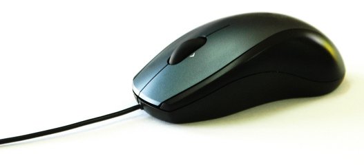 Detail Mouse Images Free Nomer 15