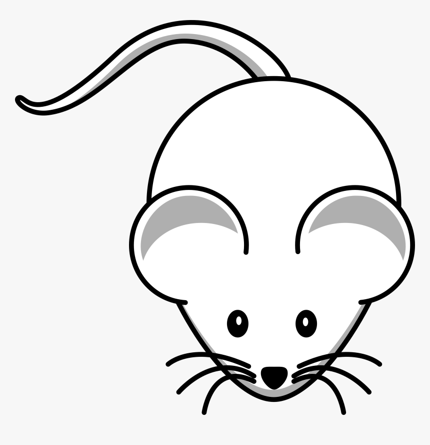 Detail Mouse Images Free Nomer 17