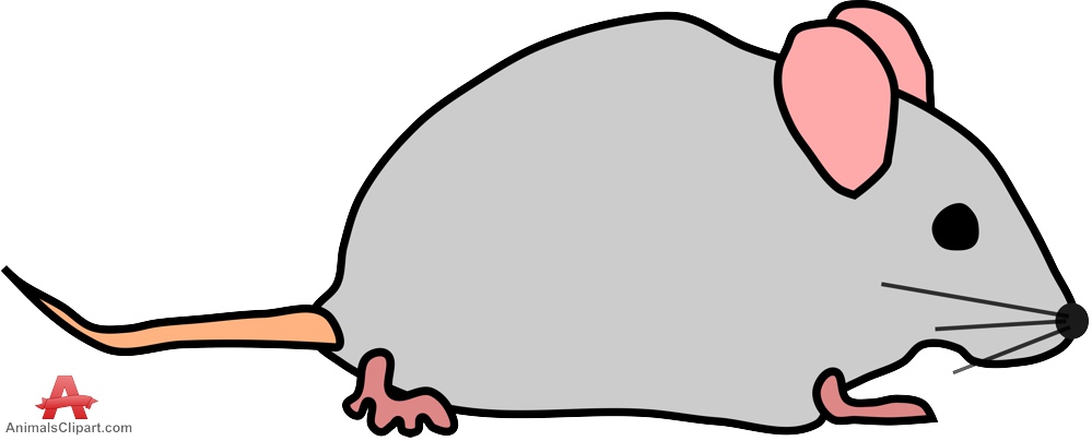 Detail Mouse Images Free Nomer 19