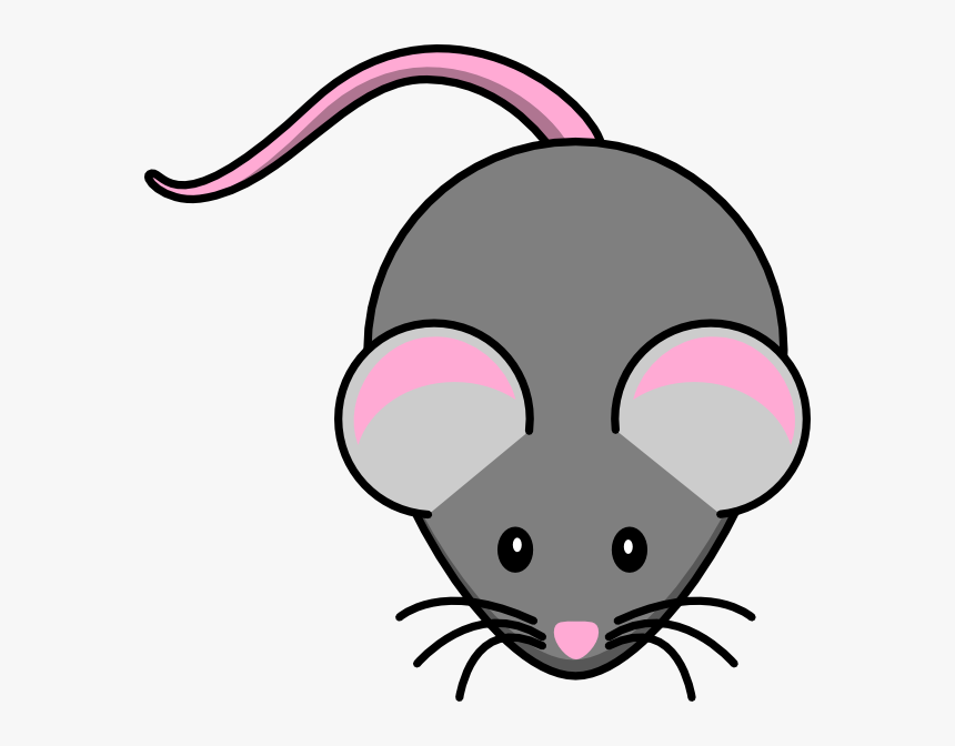 Detail Mouse Images Free Nomer 39