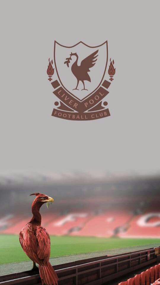 Detail Liverpool Logo Bird Wallpaper Nomer 33