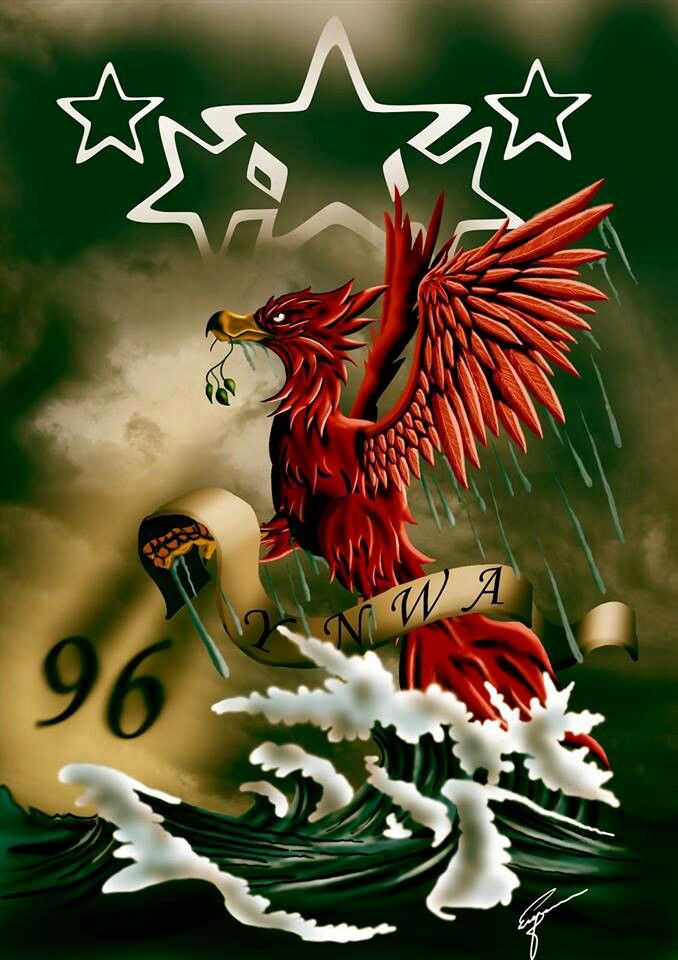 Detail Liverpool Logo Bird Wallpaper Nomer 8