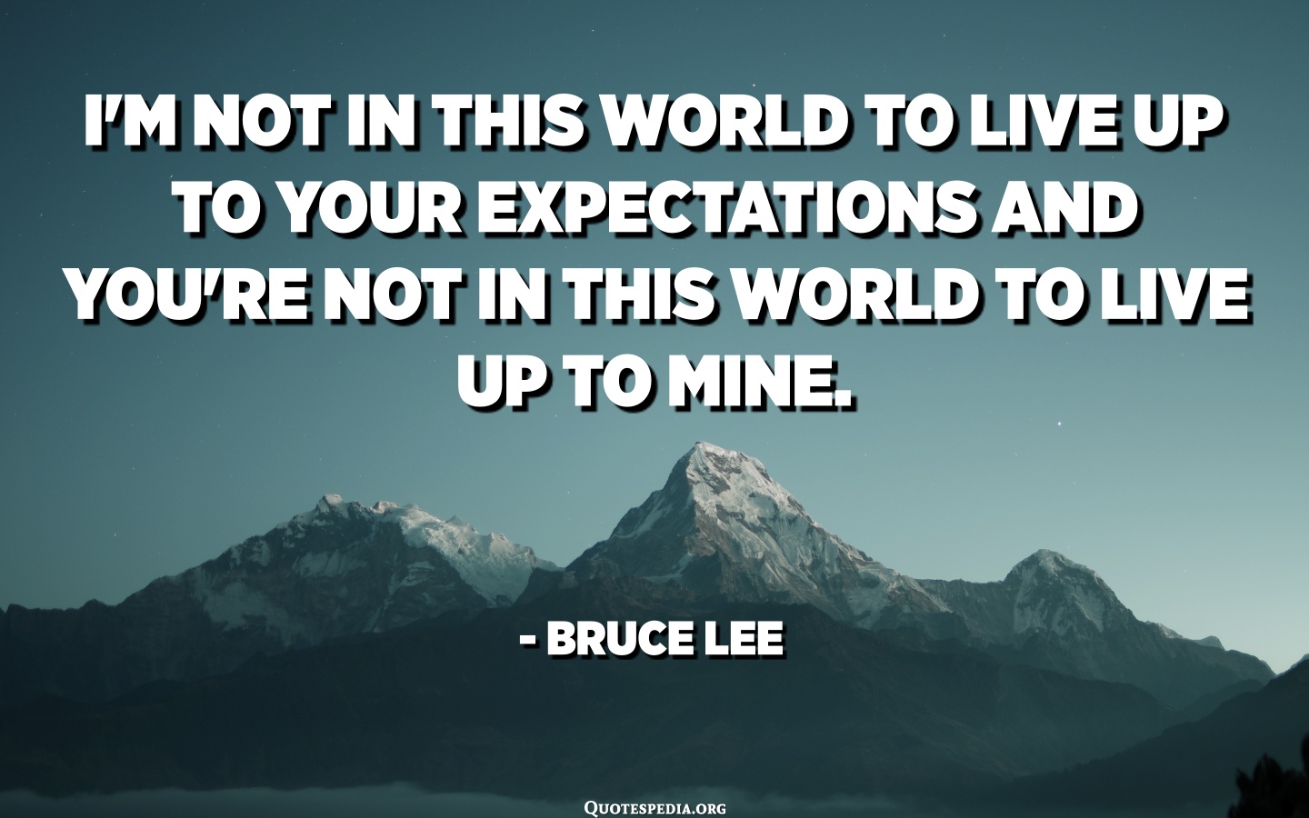 Detail Living Up To Others Expectations Quotes Nomer 13