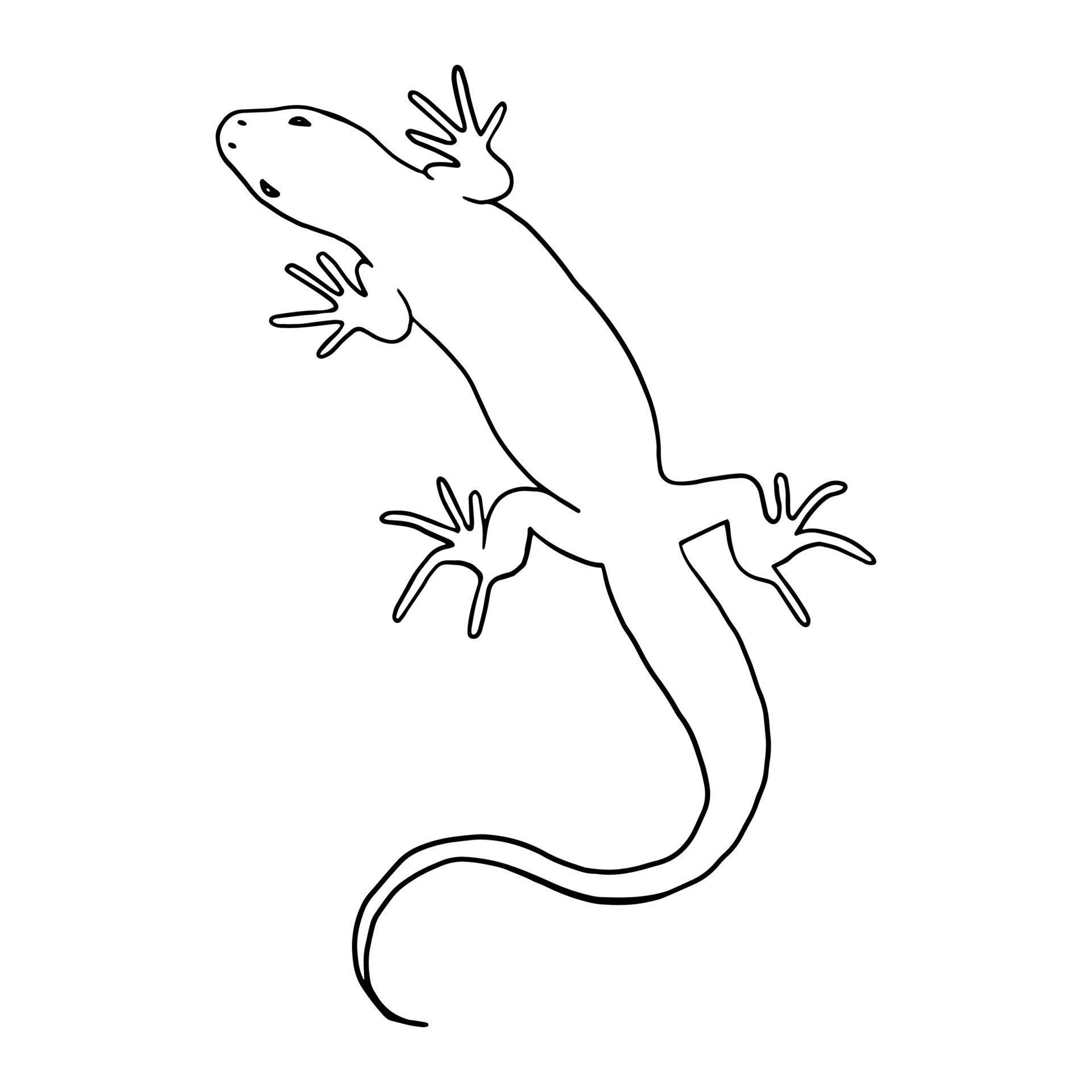 Detail Lizard Backgrounds Nomer 53