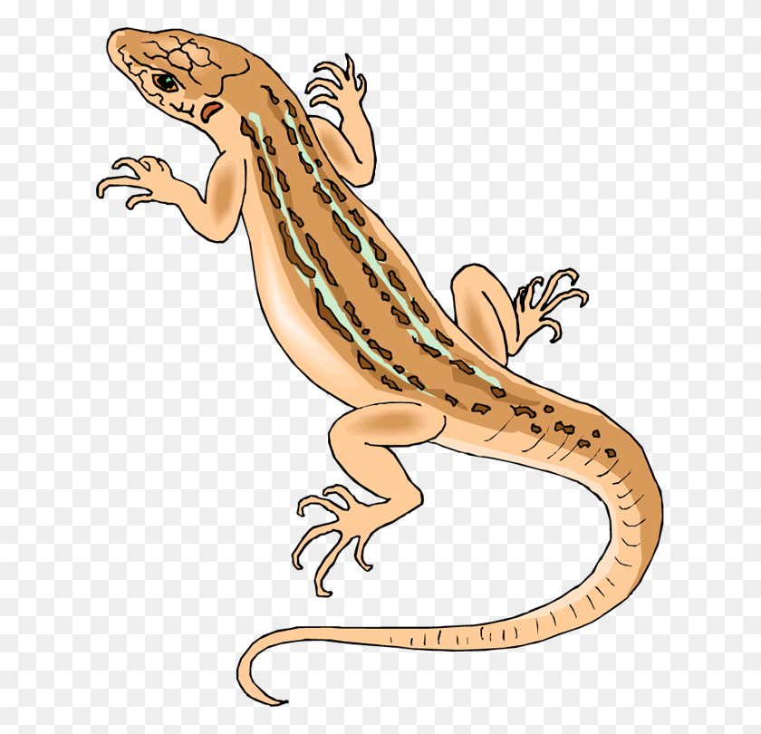 Lizard Clip Art Free - KibrisPDR