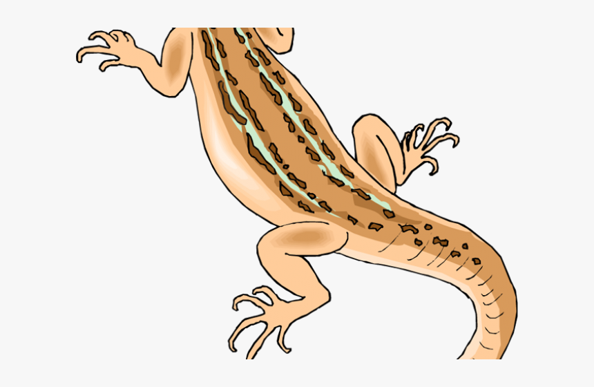 Detail Lizard Clip Art Free Nomer 21
