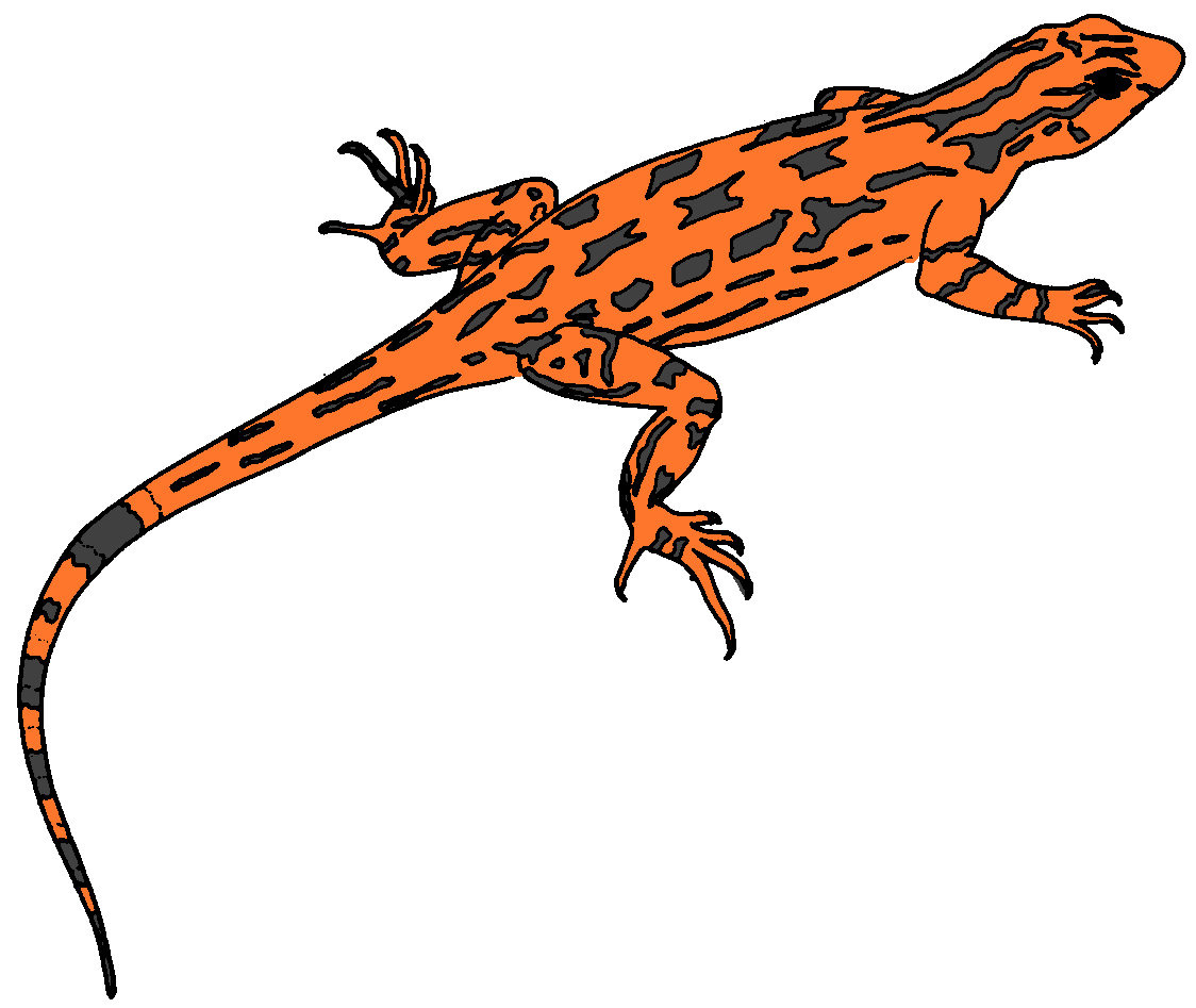 Detail Lizard Clip Art Free Nomer 23
