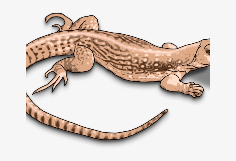 Detail Lizard Clip Art Free Nomer 3