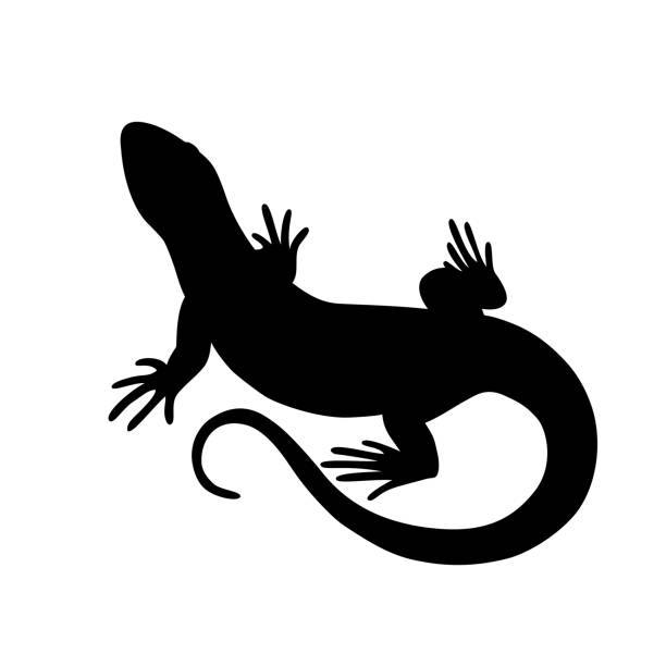 Detail Lizard Clip Art Free Nomer 34