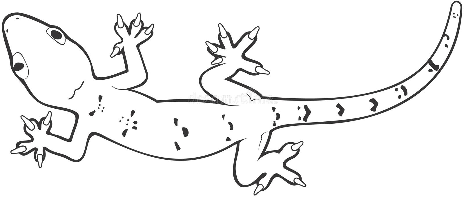 Detail Lizard Clip Art Free Nomer 35