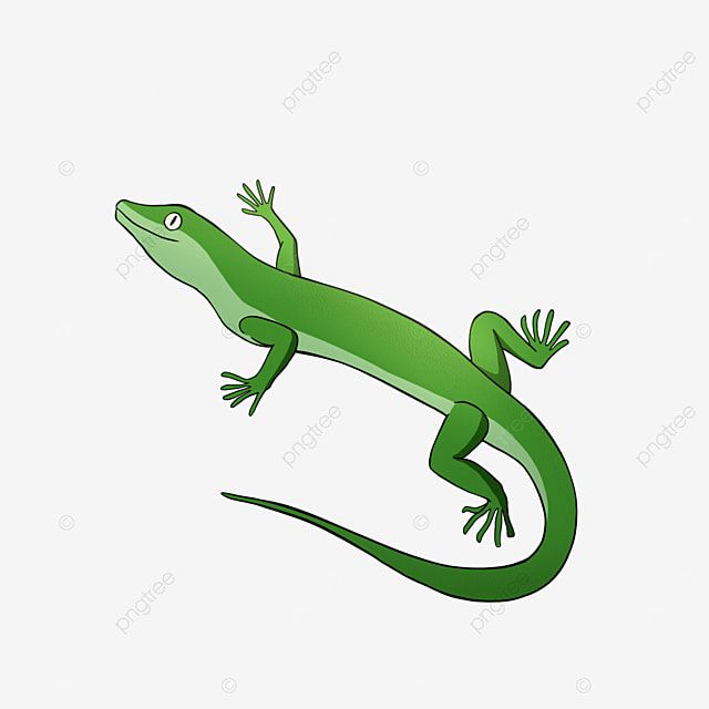 Detail Lizard Clip Art Free Nomer 38
