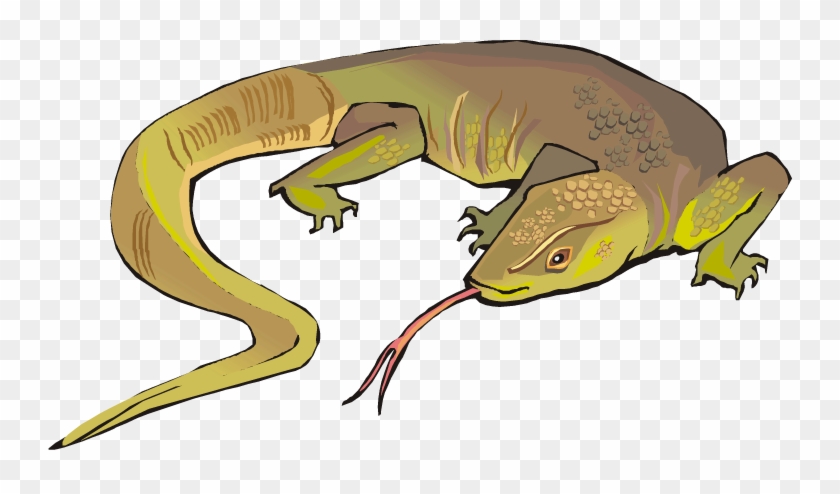 Detail Lizard Clip Art Free Nomer 44