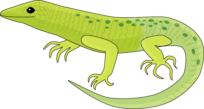 Detail Lizard Clip Art Free Nomer 6
