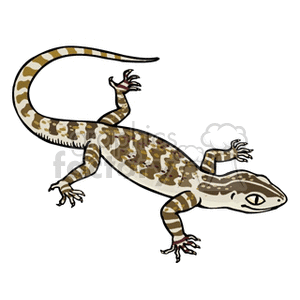Detail Lizard Clipart Nomer 33