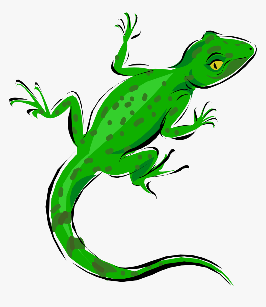 Detail Lizard Clipart Nomer 36