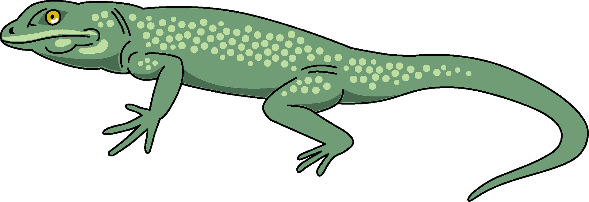 Detail Lizard Clipart Nomer 7