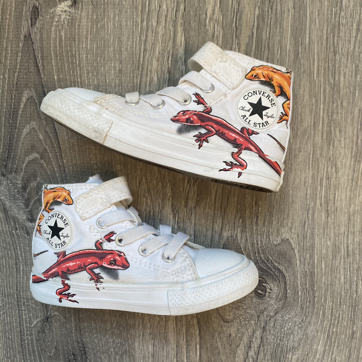 Detail Lizard Converse High Tops Nomer 11