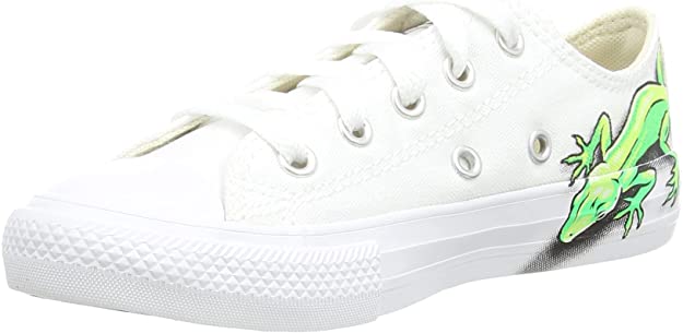 Detail Lizard Converse High Tops Nomer 19