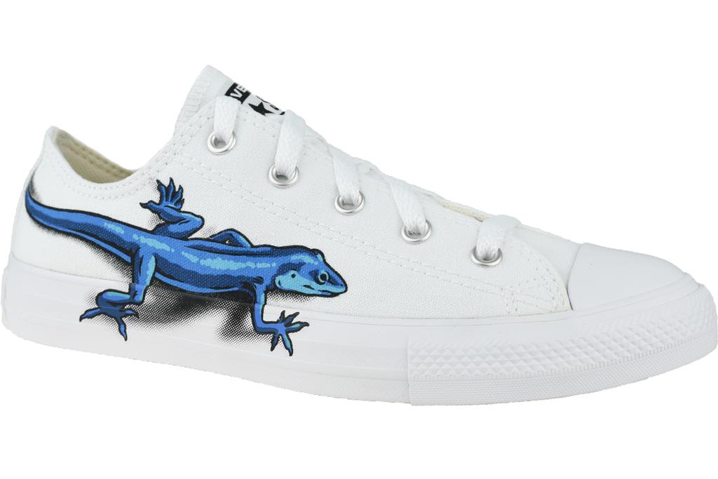 Detail Lizard Converse High Tops Nomer 43