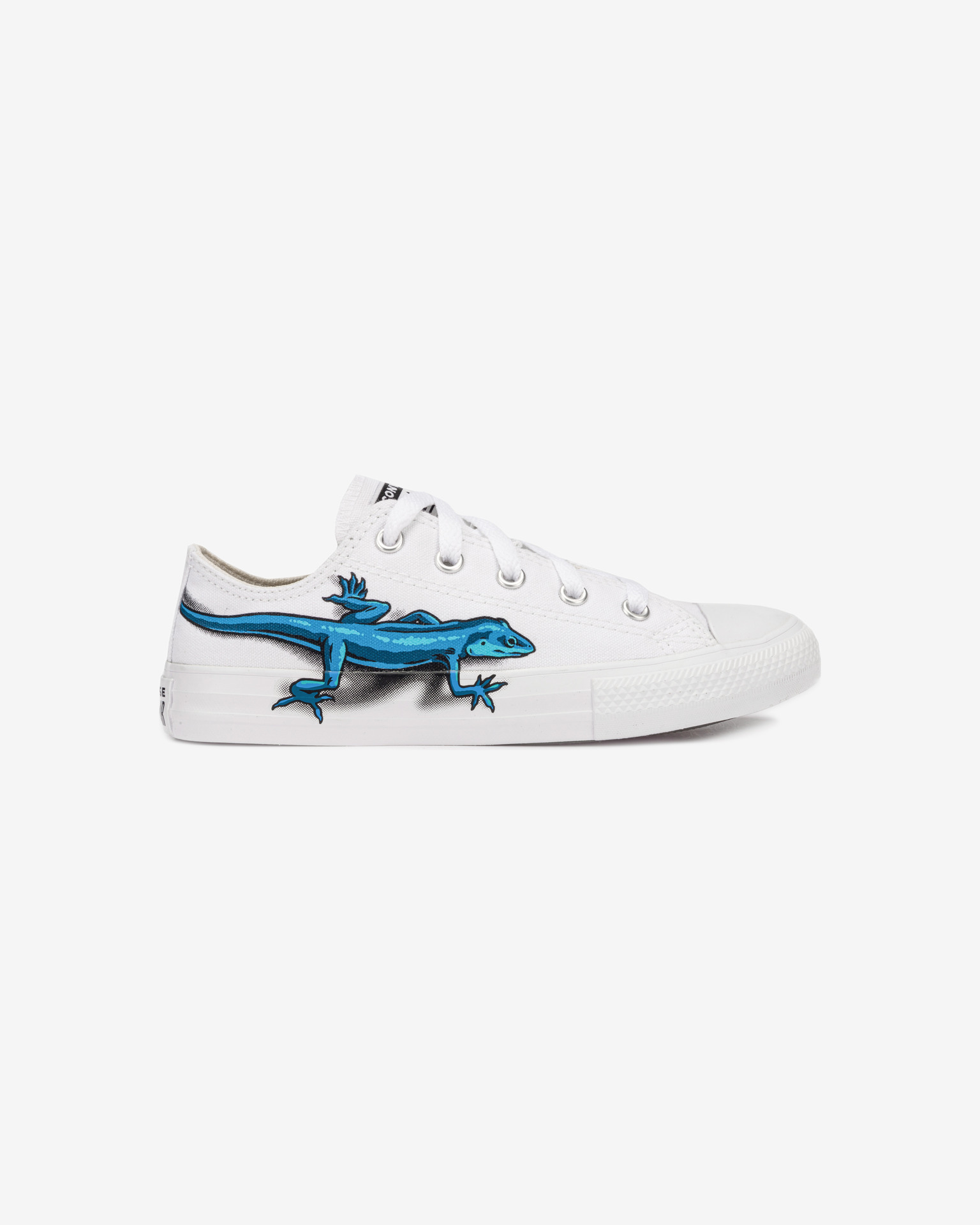 Detail Lizard Converse High Tops Nomer 48