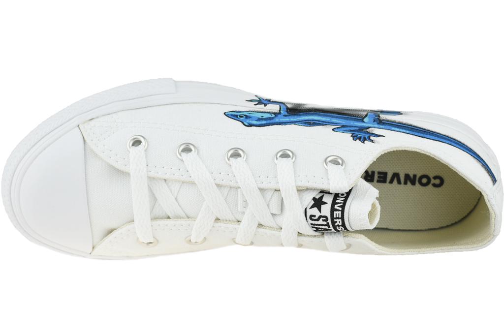 Detail Lizard Converse High Tops Nomer 53