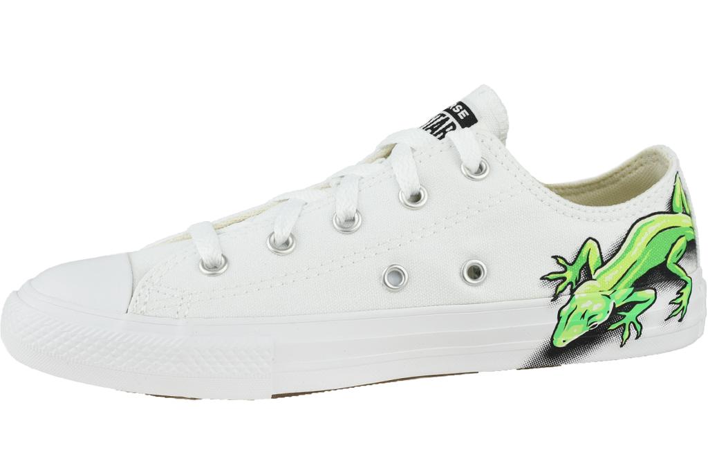 Detail Lizard Converse High Tops Nomer 58