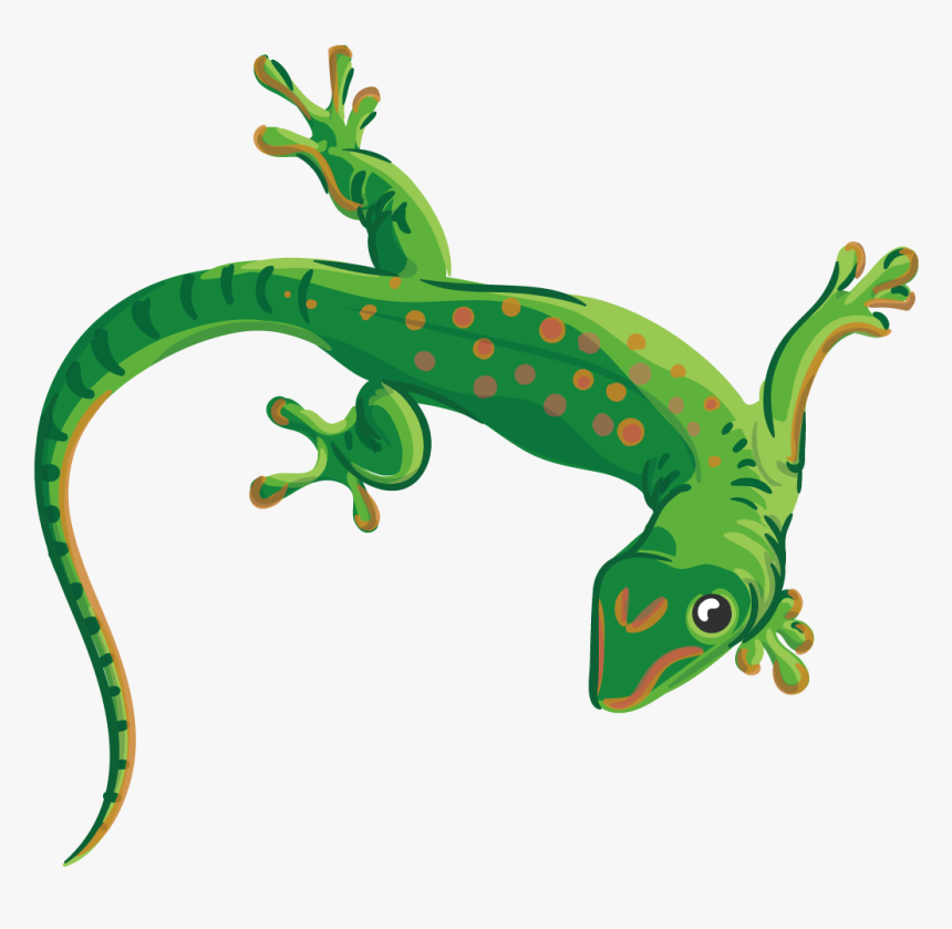 Detail Lizard For Free Nomer 10