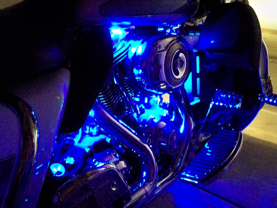 Detail Lizard Lights Harley Nomer 17