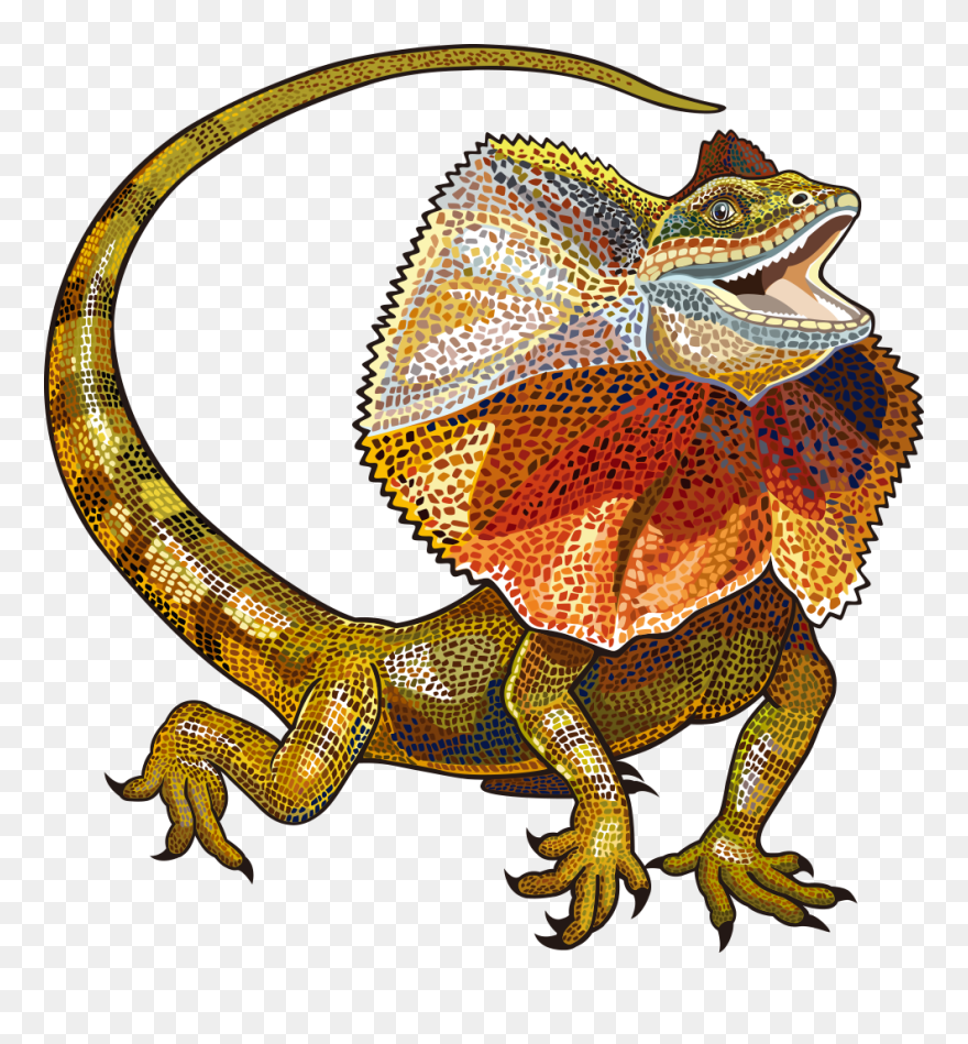 Detail Lizard Png Nomer 45