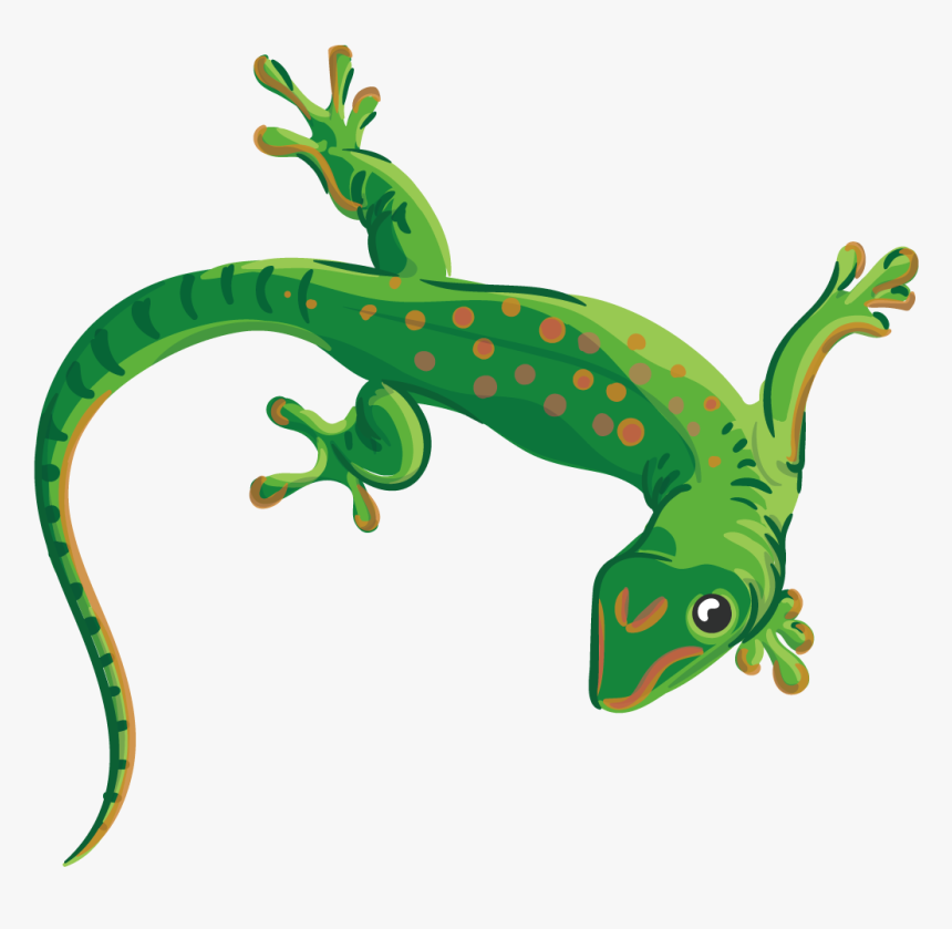 Detail Lizard Transparent Background Nomer 14