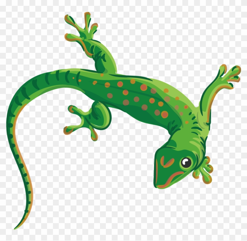 Detail Lizards For Free Nomer 16