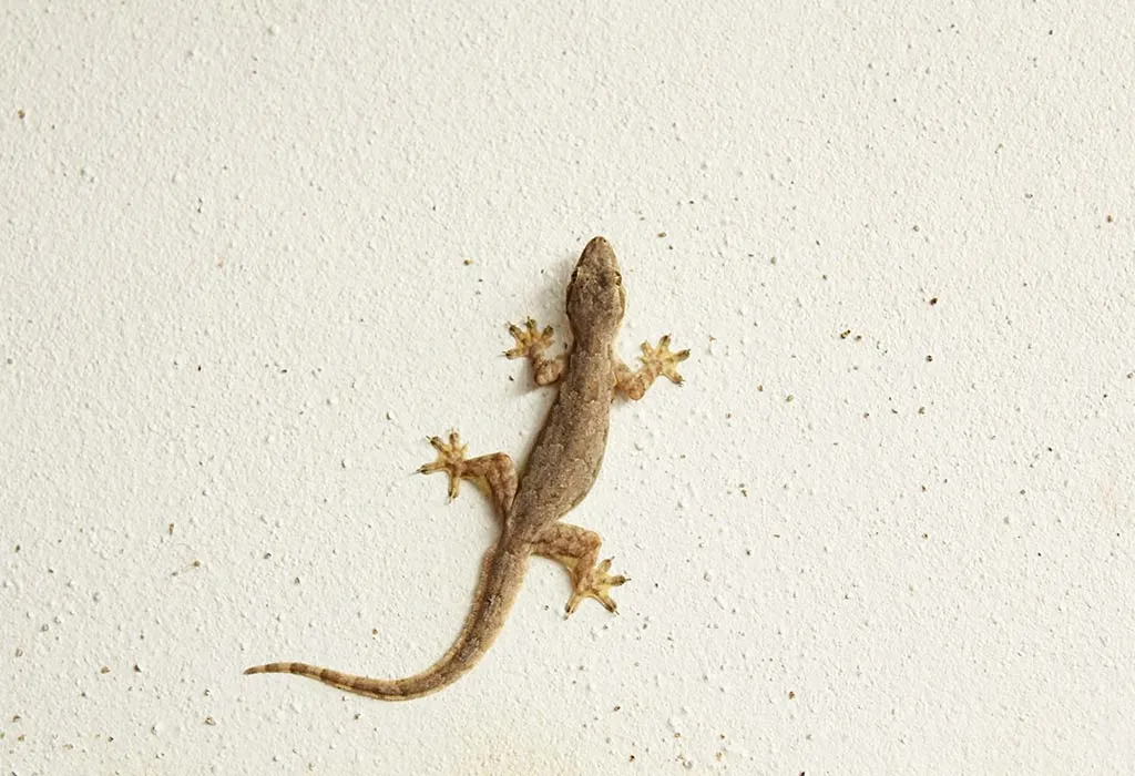 Detail Lizards Images Nomer 3