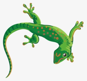 Detail Lizards Images Free Nomer 19