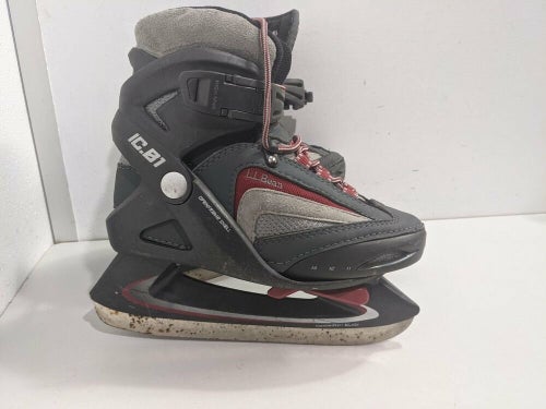 Detail Ll Bean Figure Skates Nomer 37