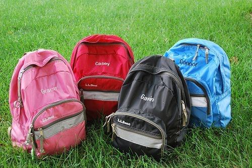Detail Ll Bean Minecraft Backpack Nomer 38